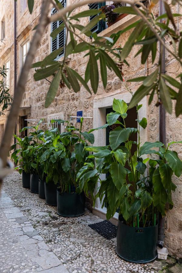 B&B Buza House Dubrovnik Bagian luar foto